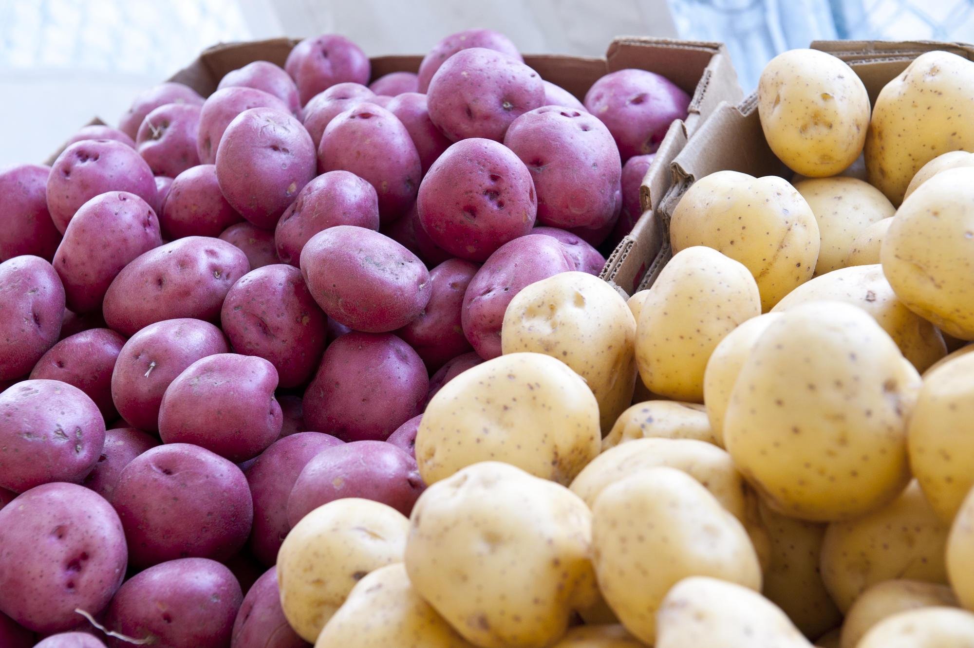 Potato Varieties To Grow
